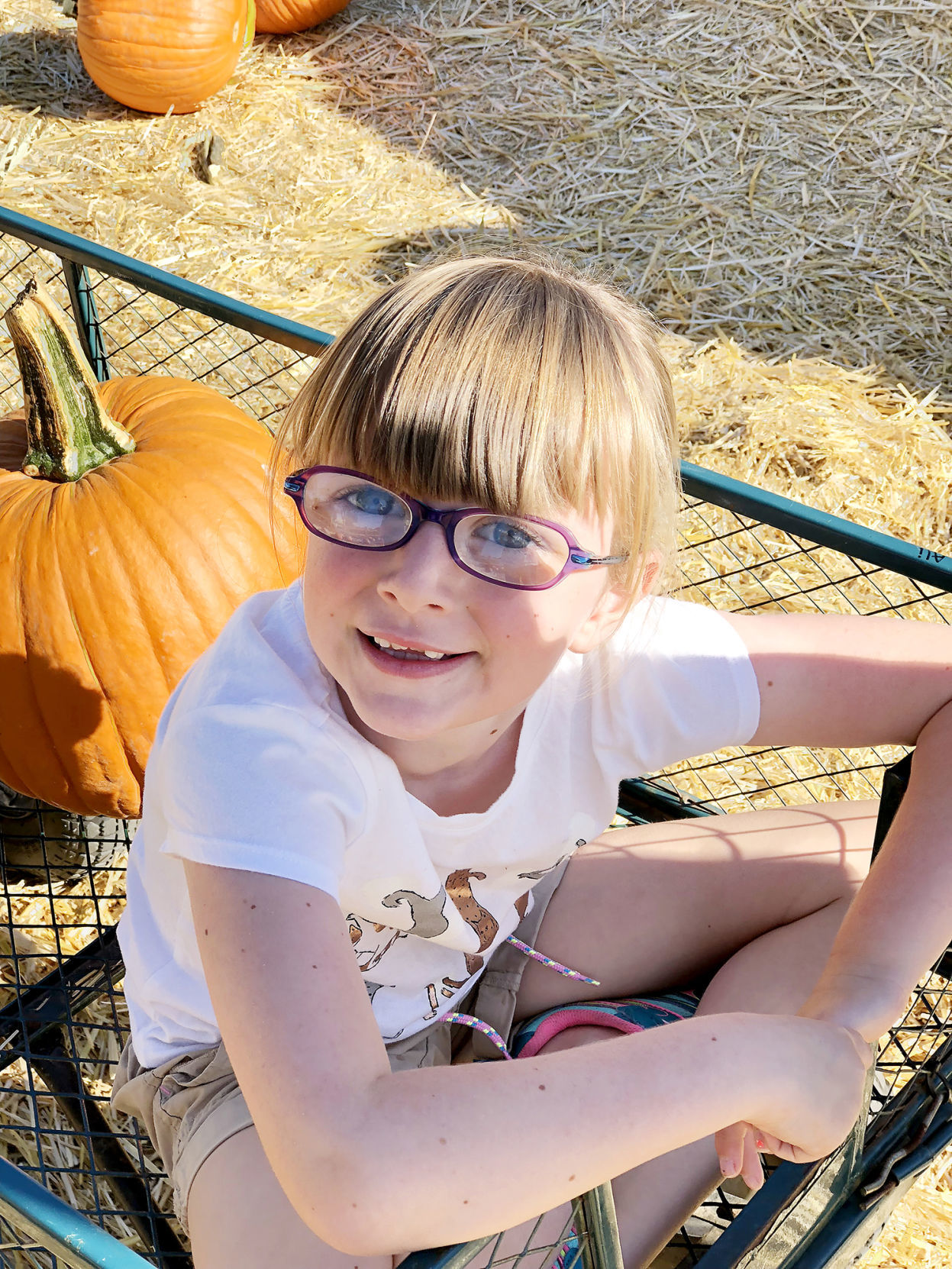 Pumpkin Patch